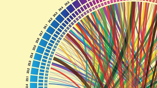 Supply Chain Connectivity and Hidden Sources of Better Performance